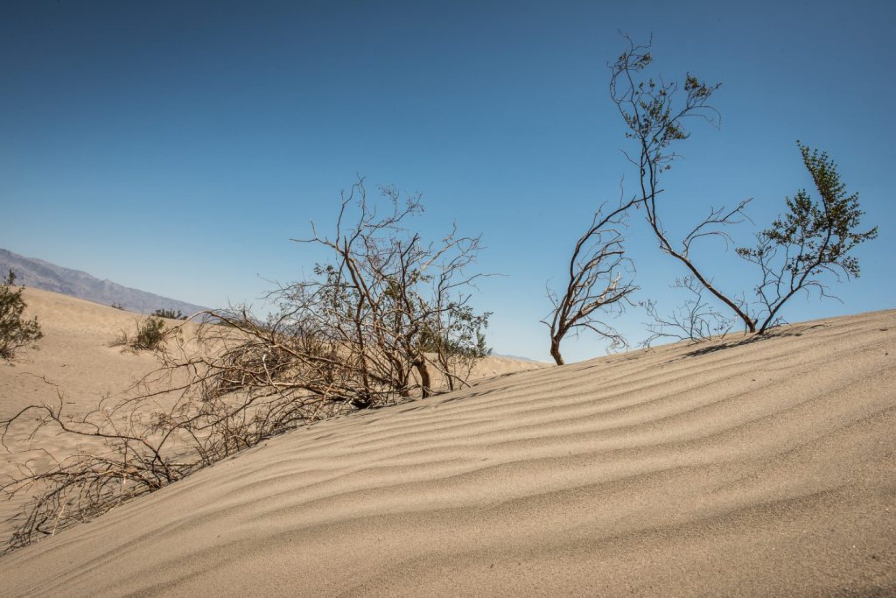 Death Valley - studio MAHA © Landscape Photography