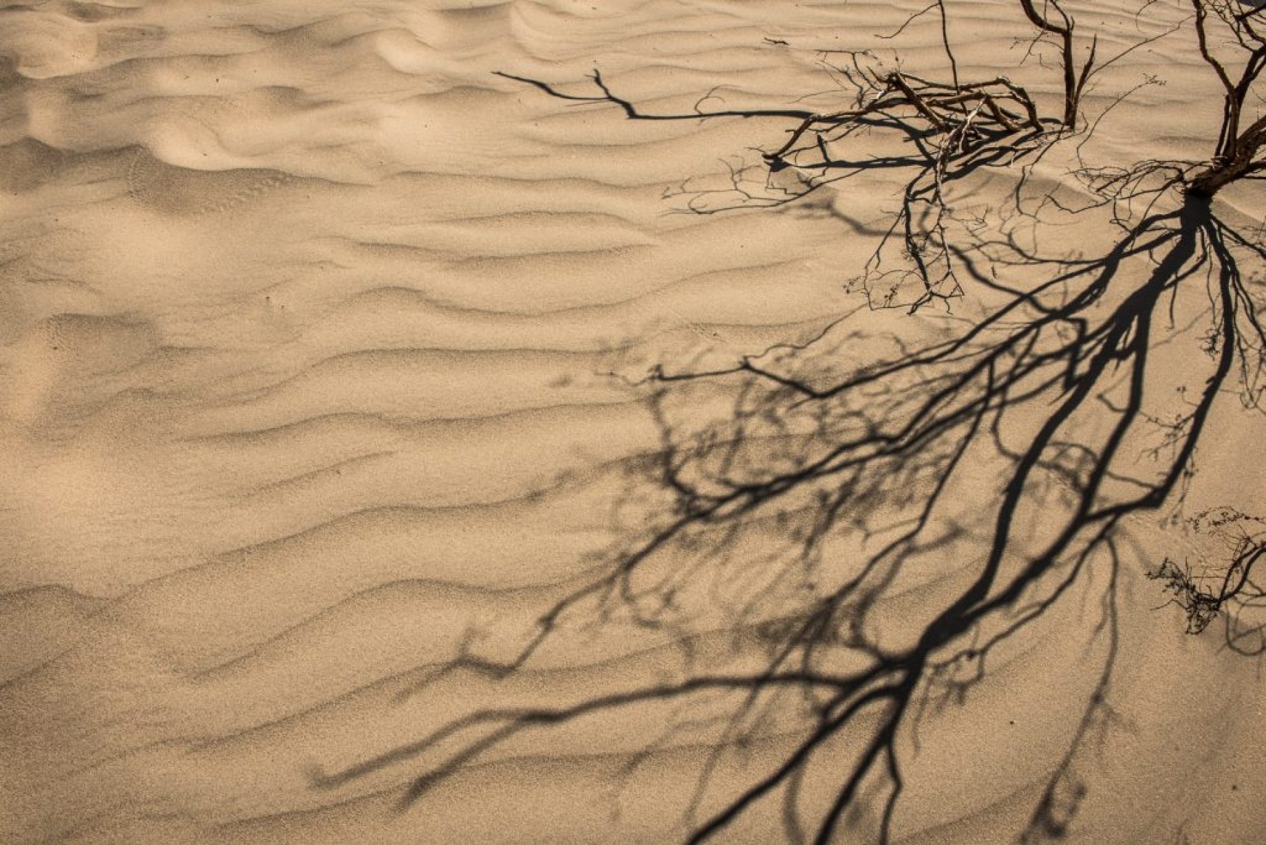 Death Valley - studio MAHA © Landscape Photography