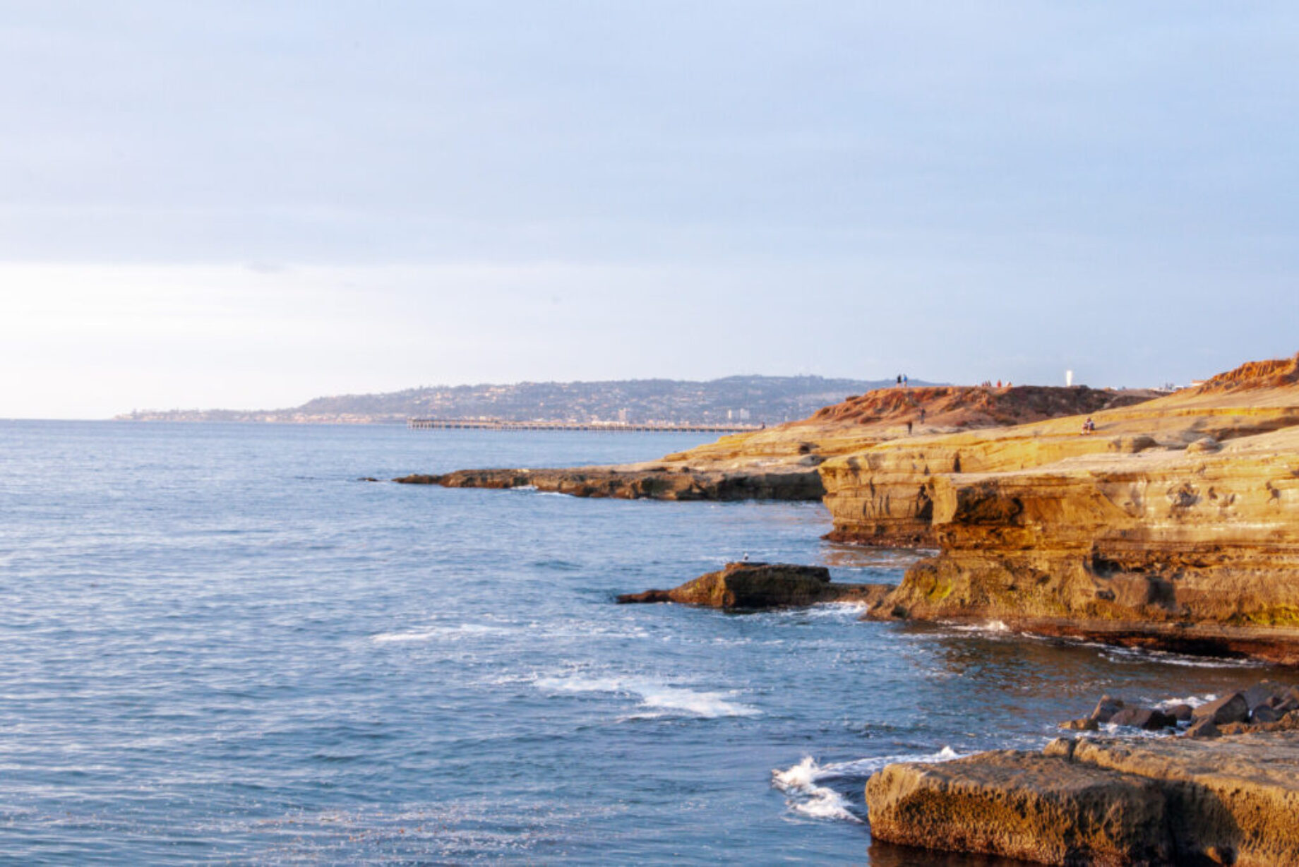 A-1001.1 | 60x40 | Metal | Lobby