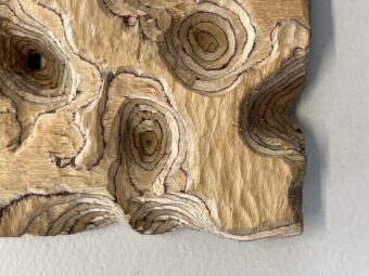 Topographic Relief Close view of carved wood relief with concentric recessed forms and irregular topographic contours across the surface.