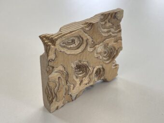 Topographic Relief Angled side view of a carved wood relief sculpture showing layered thickness, recessed contours, and an irregular edge profile.